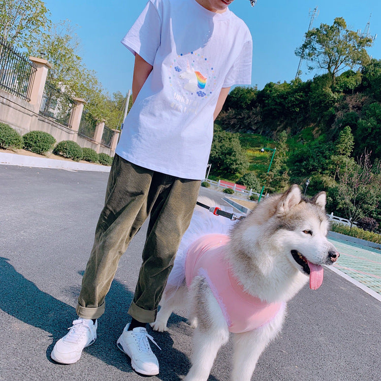 Unicorns Are Real Pet Owner Matching T-Shirt & Dress