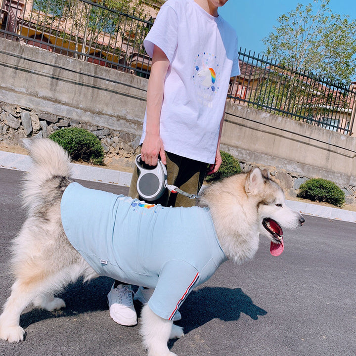 Unicorns Are Real Pet Owner Matching T-Shirt & Dress