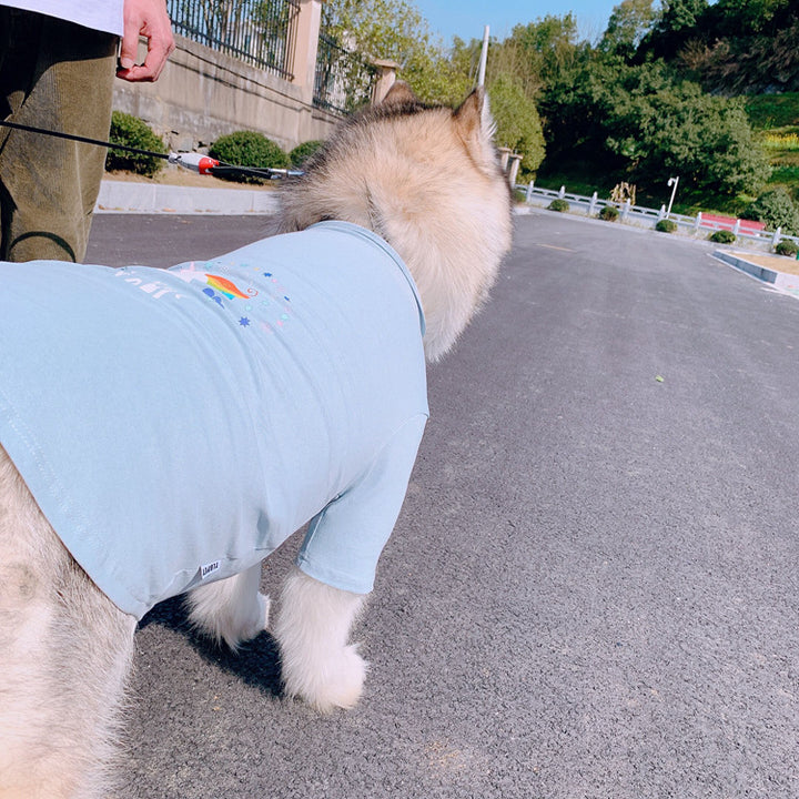 Unicorns Are Real Pet Owner Matching T-Shirt & Dress