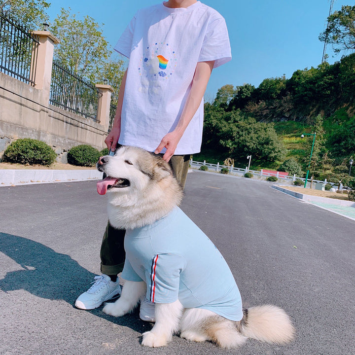 Unicorns Are Real Pet Owner Matching T-Shirt & Dress