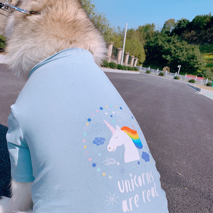 Unicorns Are Real Pet Owner Matching T-Shirt & Dress