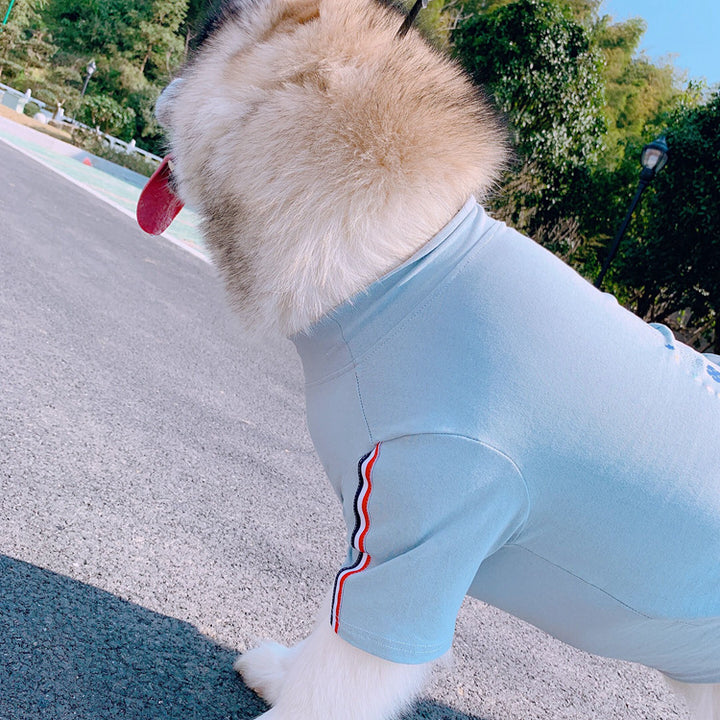 Unicorns Are Real Pet Owner Matching T-Shirt & Dress