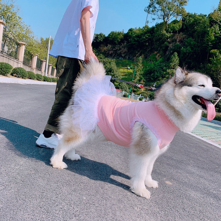 Unicorns Are Real Pet Owner Matching T-Shirt & Dress