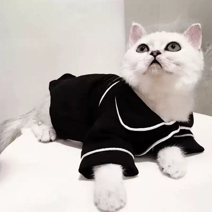 White cat wearing a black outfit with white trim on a light background
