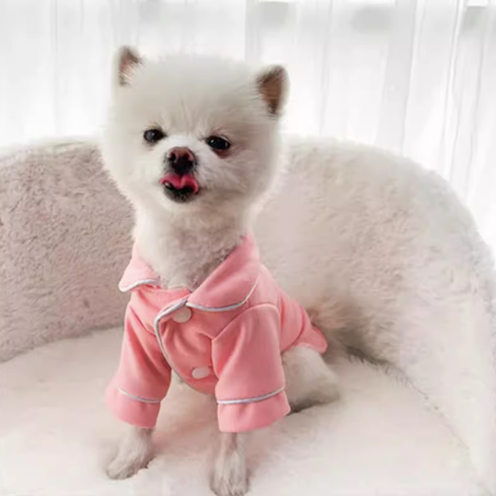 Small white dog wearing pink pajamas on a light pink surface.