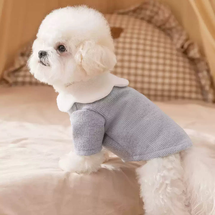 Petal Collar Corduroy Shirt Pet Clothes