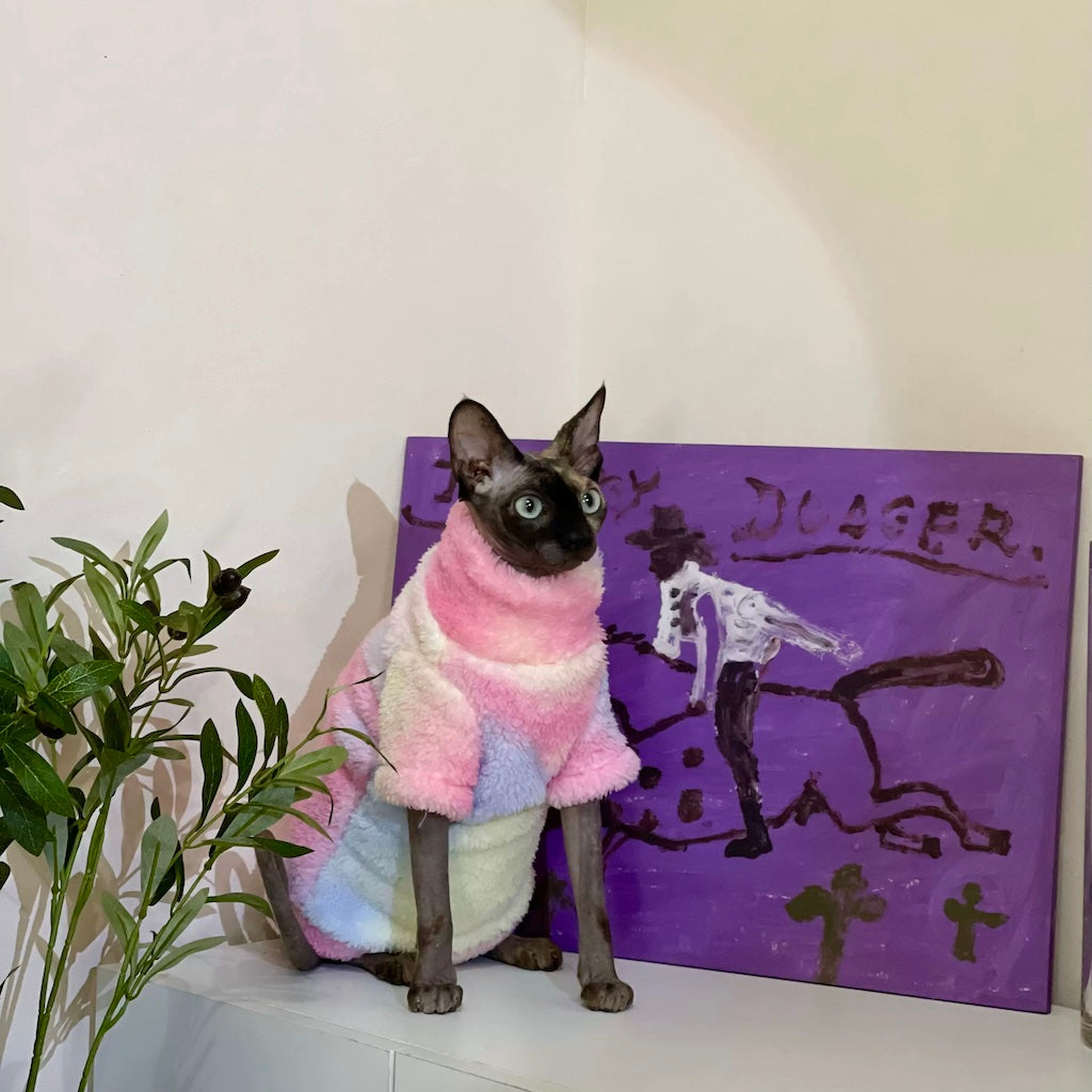 Tie Dye Sphynx Cat Fleece Onesies and Sweaters