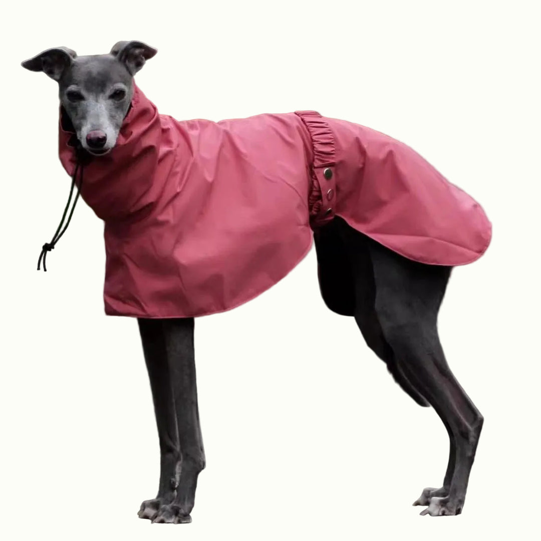 Pink Dog Outing Waterproof Raincoat