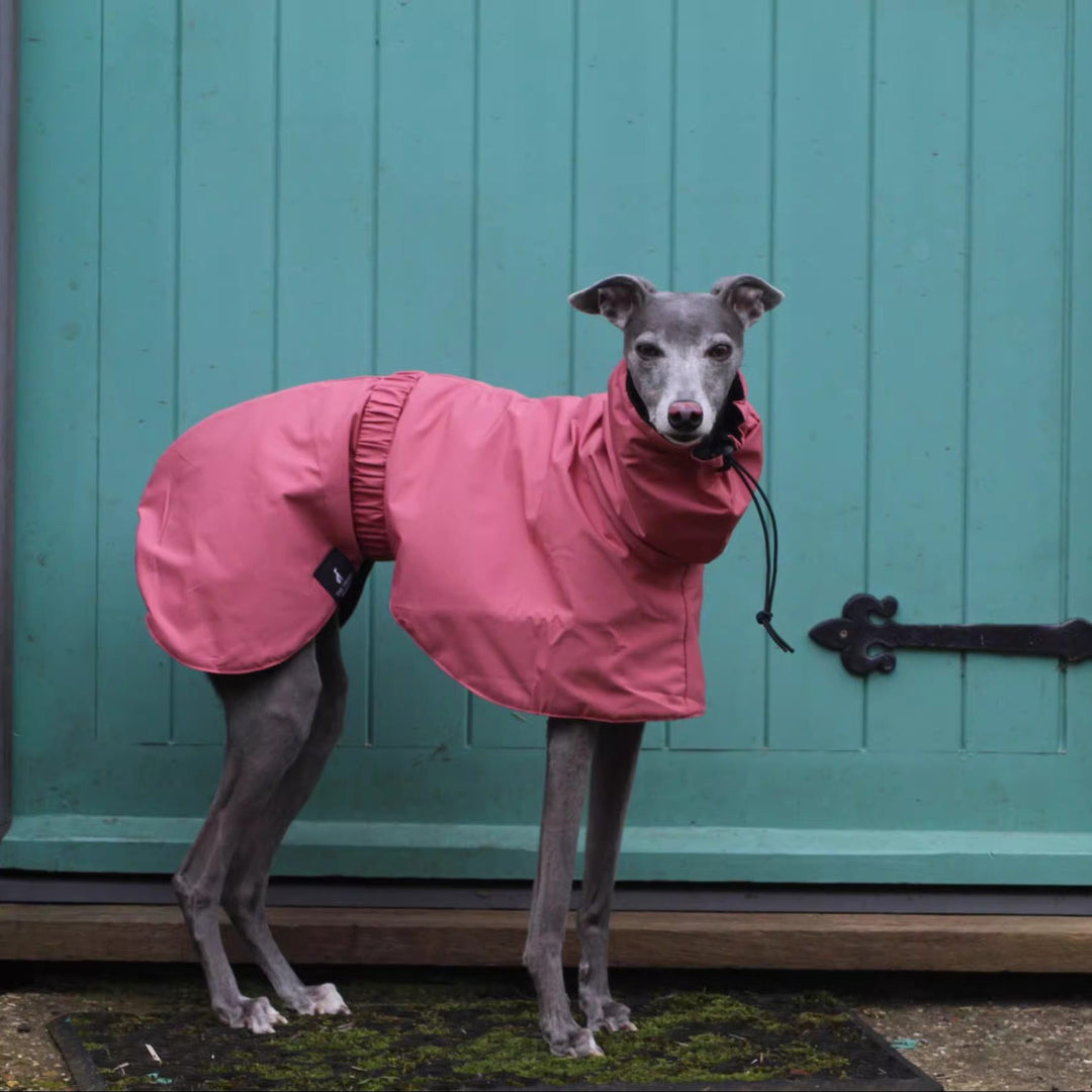 Pink Dog Outing Waterproof Raincoat