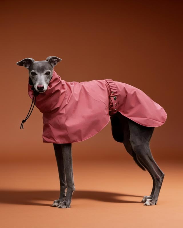 Windbreaker Cloak Waterproof Raincoat for Italian Greyhounds and Whippets CityBear
