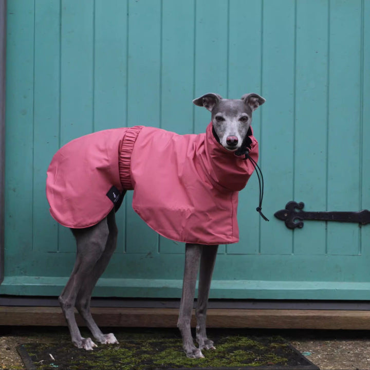 Pink Dog Outing Waterproof Raincoat