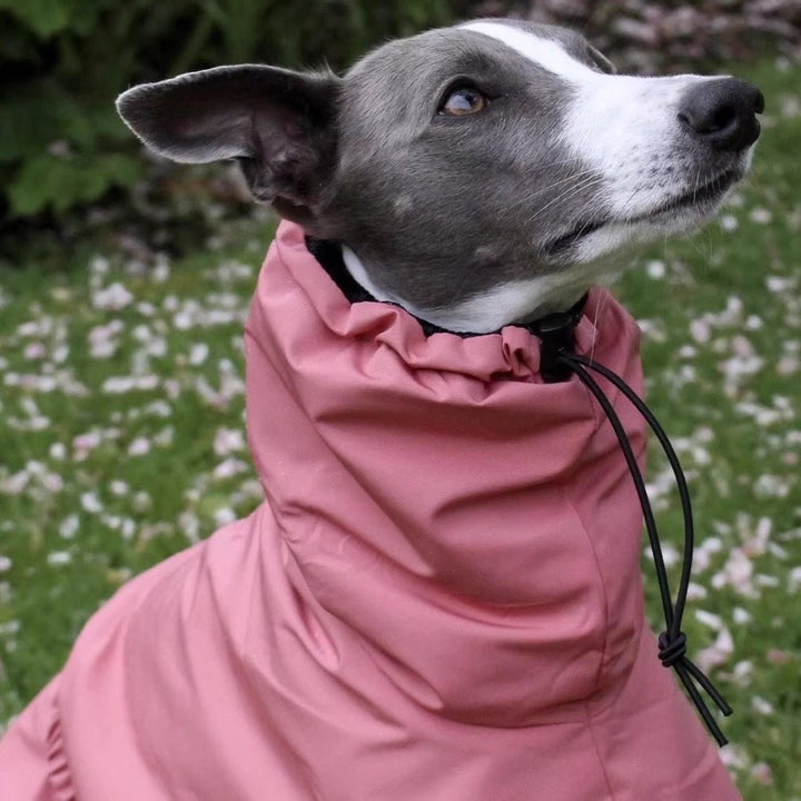 Pink Dog Outing Waterproof Raincoat