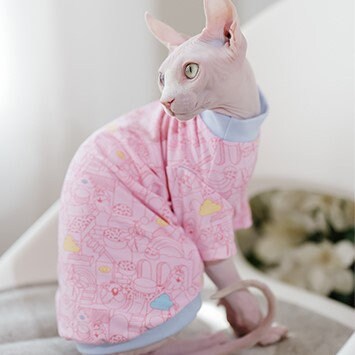 Pastel Duotone Sphynx Cat Tee Shirt