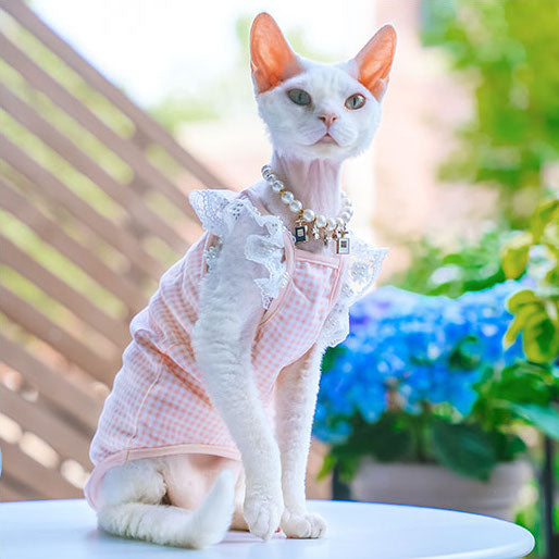 Lace Ruffle Sleeve Gingham Sphynx Cat Camisoles