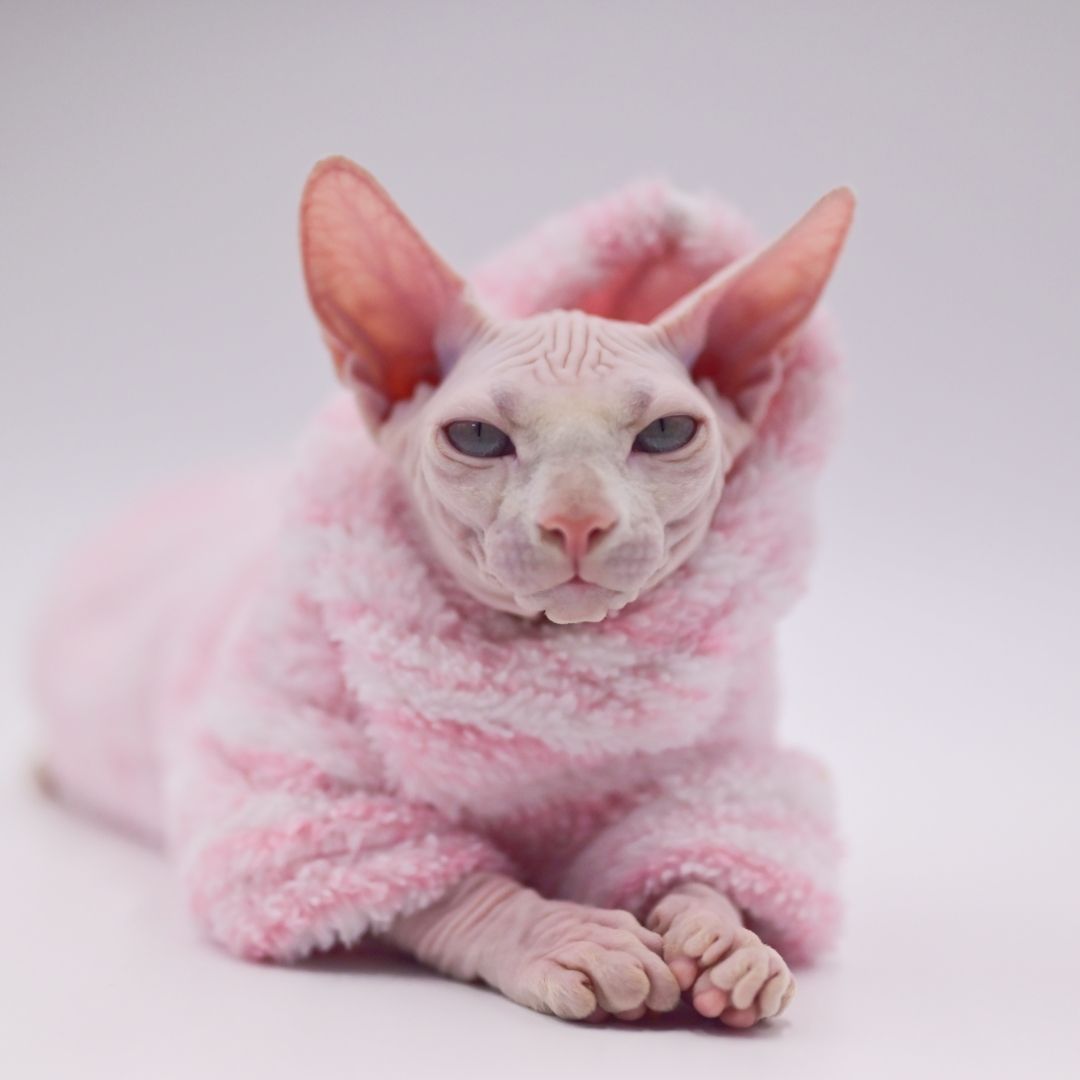 Pink Warm Sphynx Cat Hoodies