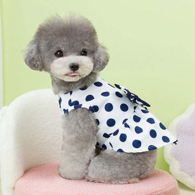 Small dog wearing a polka dot dress sitting on a pink cushion with a green background