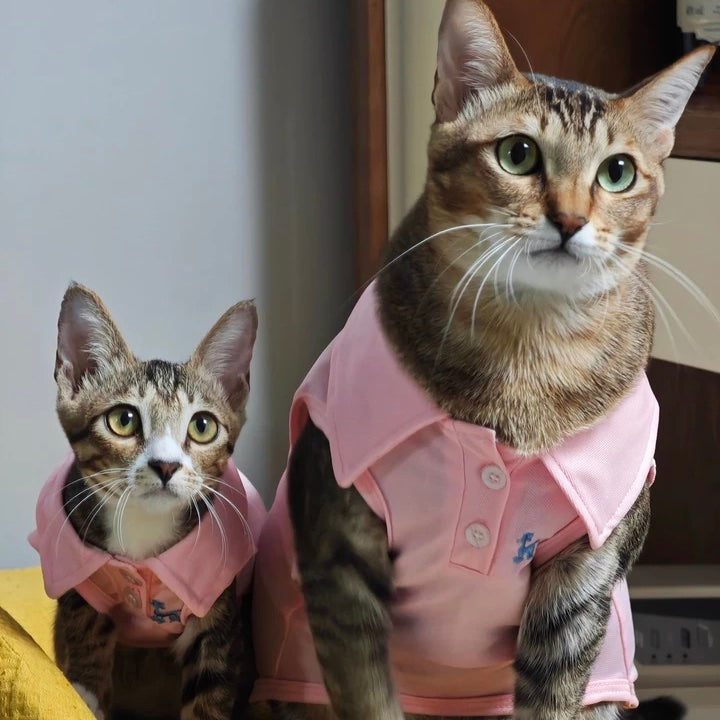 Polo Shirt Pet Tee