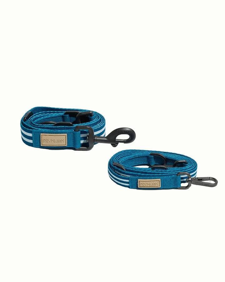 Prynwan Prynometry Adjustable Leash Blue