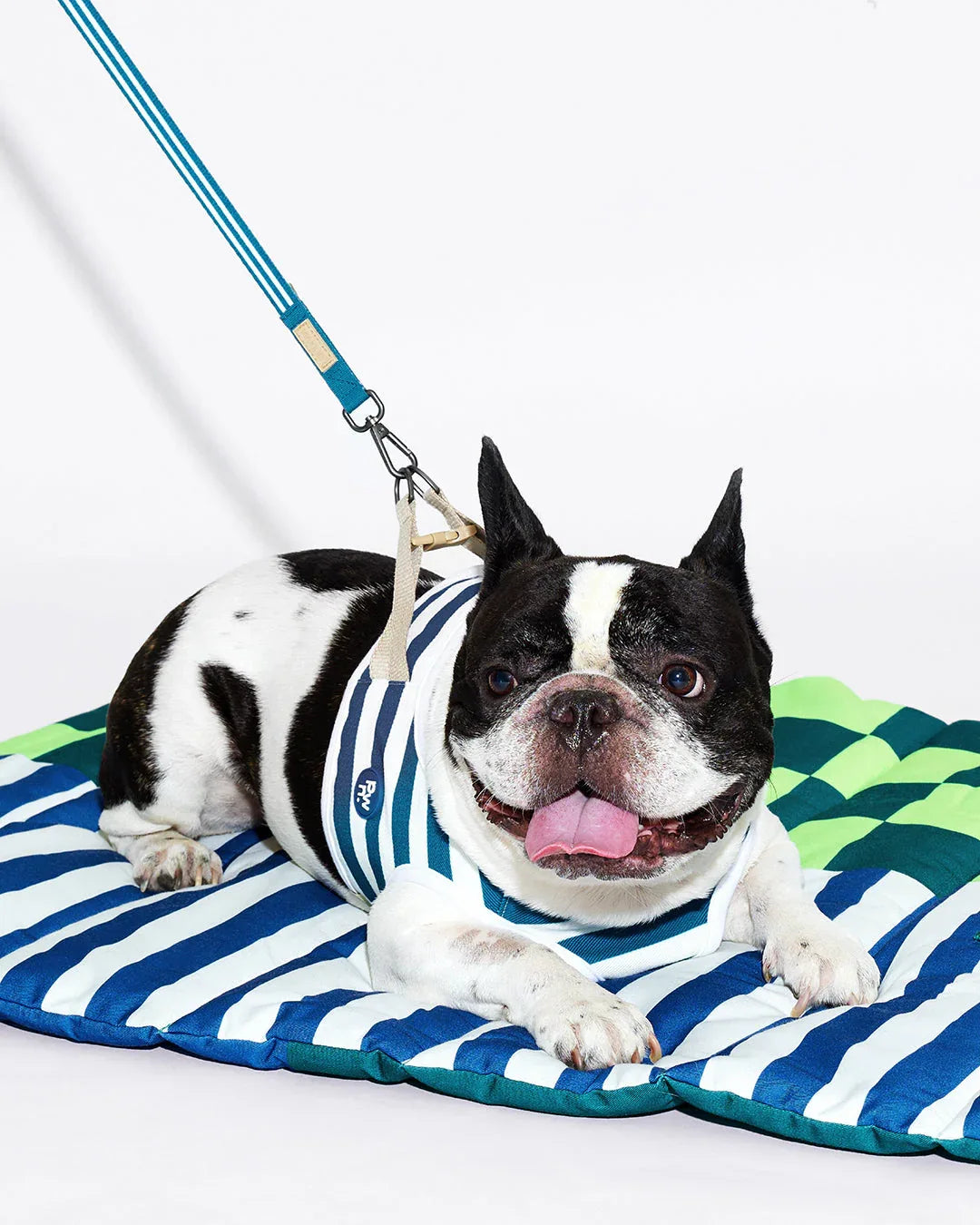 Prynwan Prynometry Adjustable Leash Blue