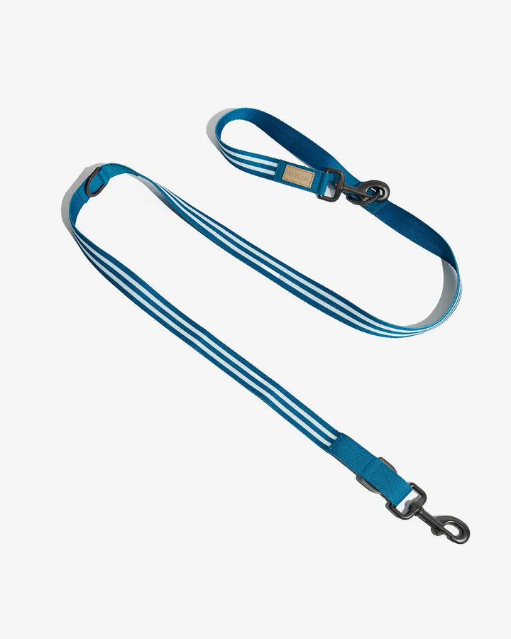 Prynwan Prynometry Adjustable Leash Blue