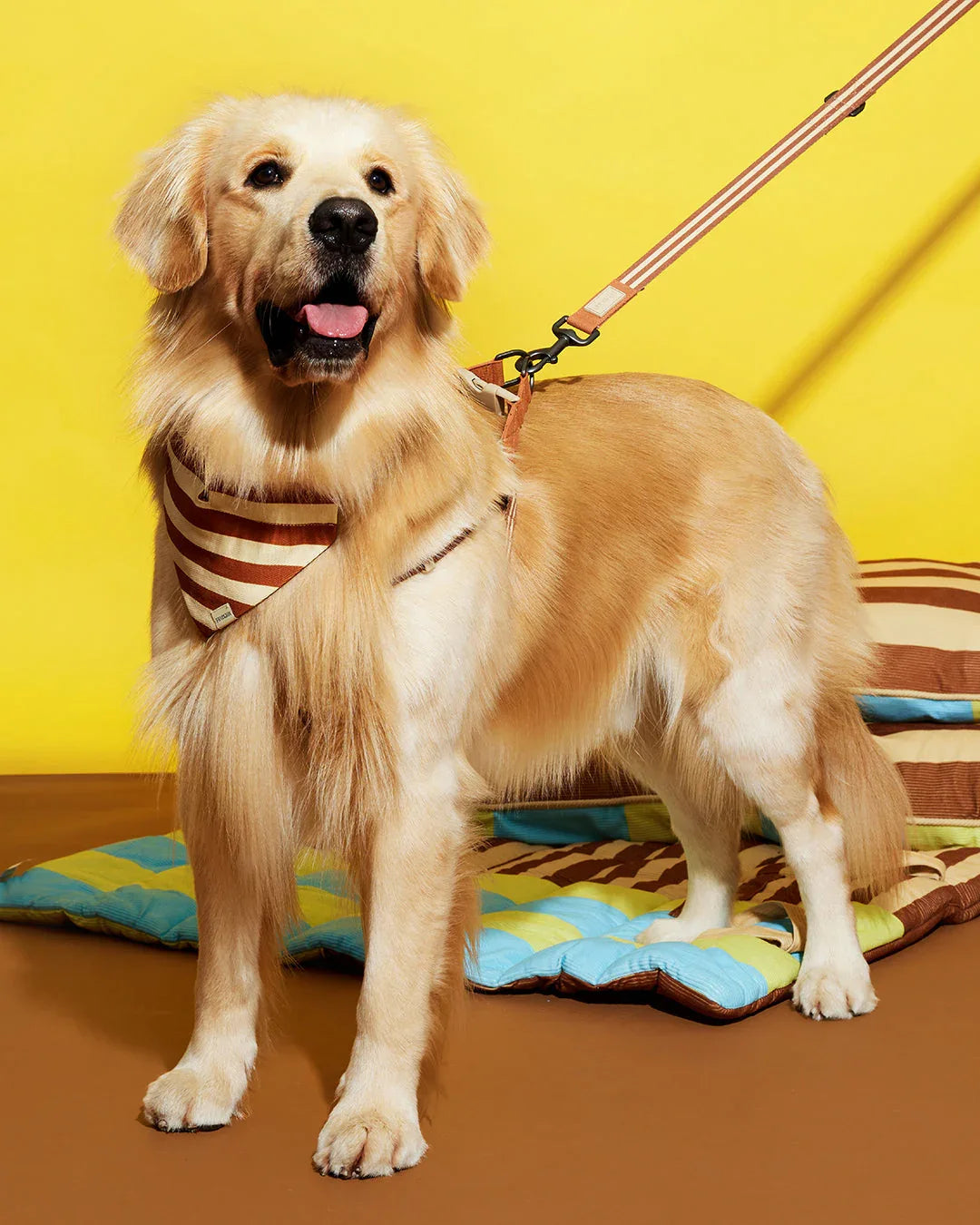 Prynwan Prynometry Adjustable Leash Brown Beige