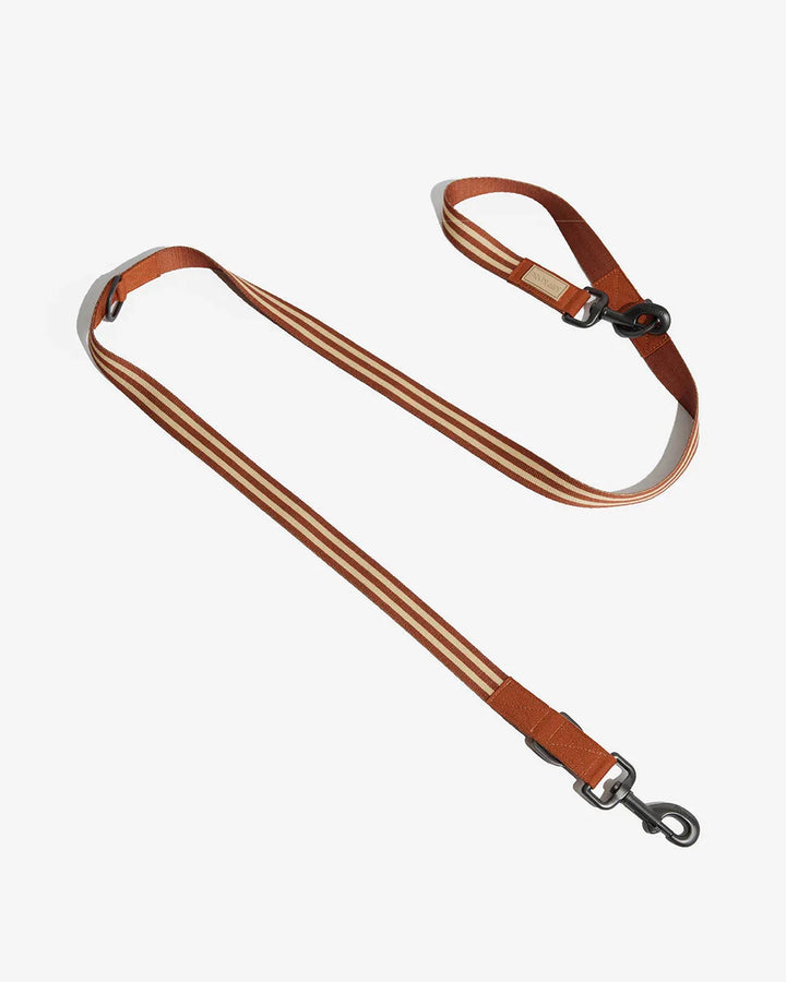 Prynwan Prynometry Adjustable Leash Brown Beige