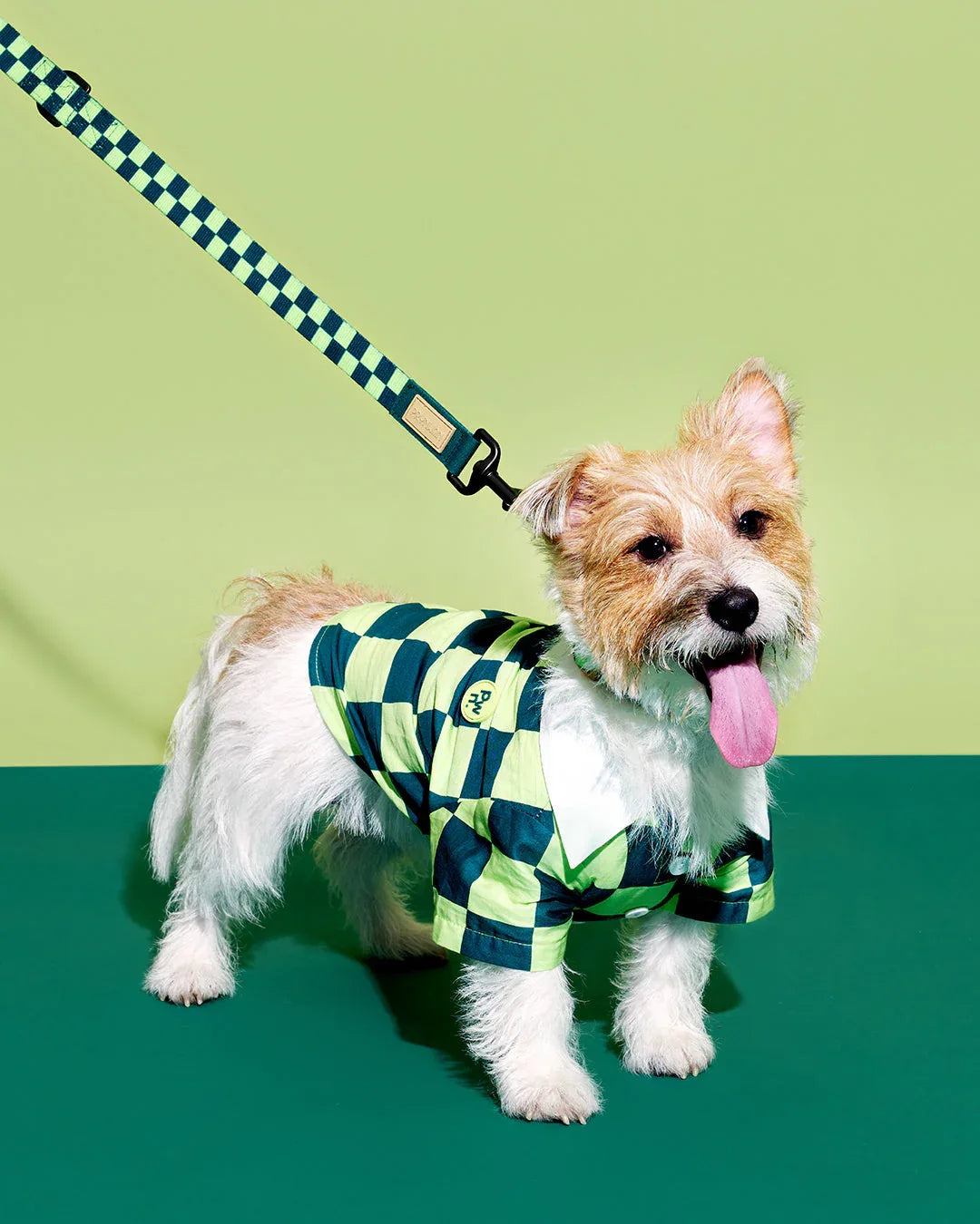 Prynwan Prynometry Adjustable Leash Checkered Green