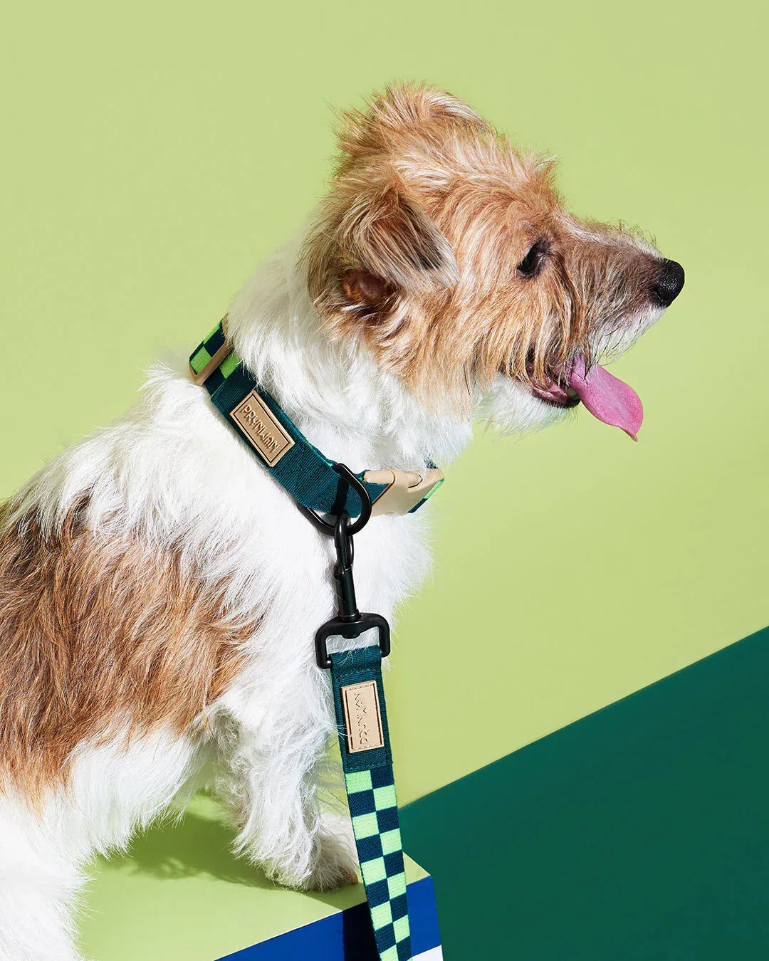 Prynwan Prynometry Adjustable Leash Checkered Green