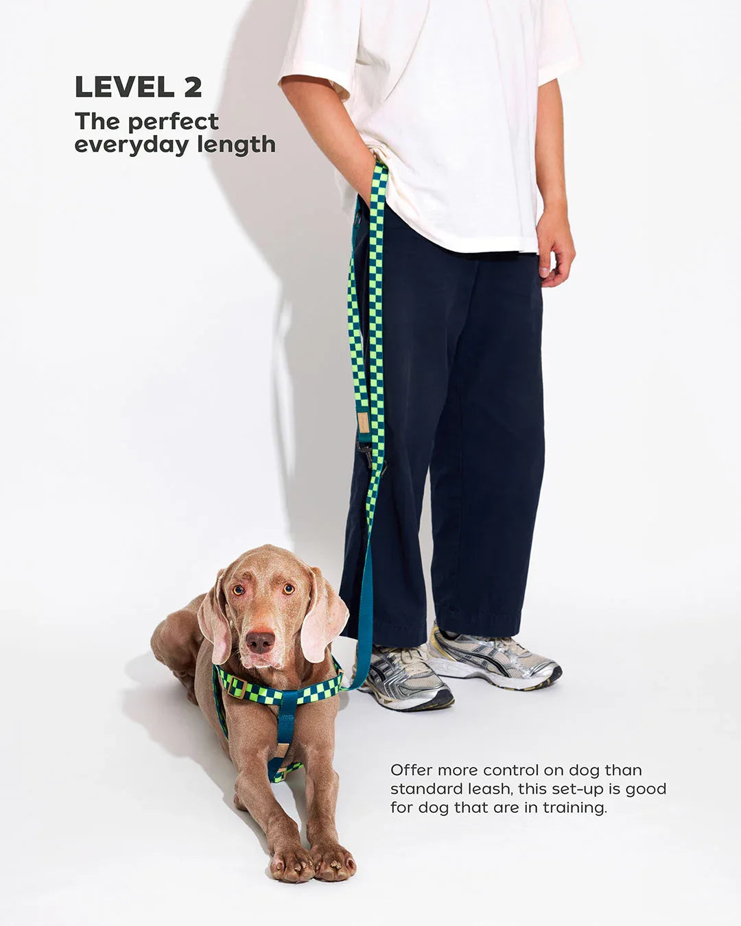 Prynwan Prynometry Adjustable Leash Checkered Green