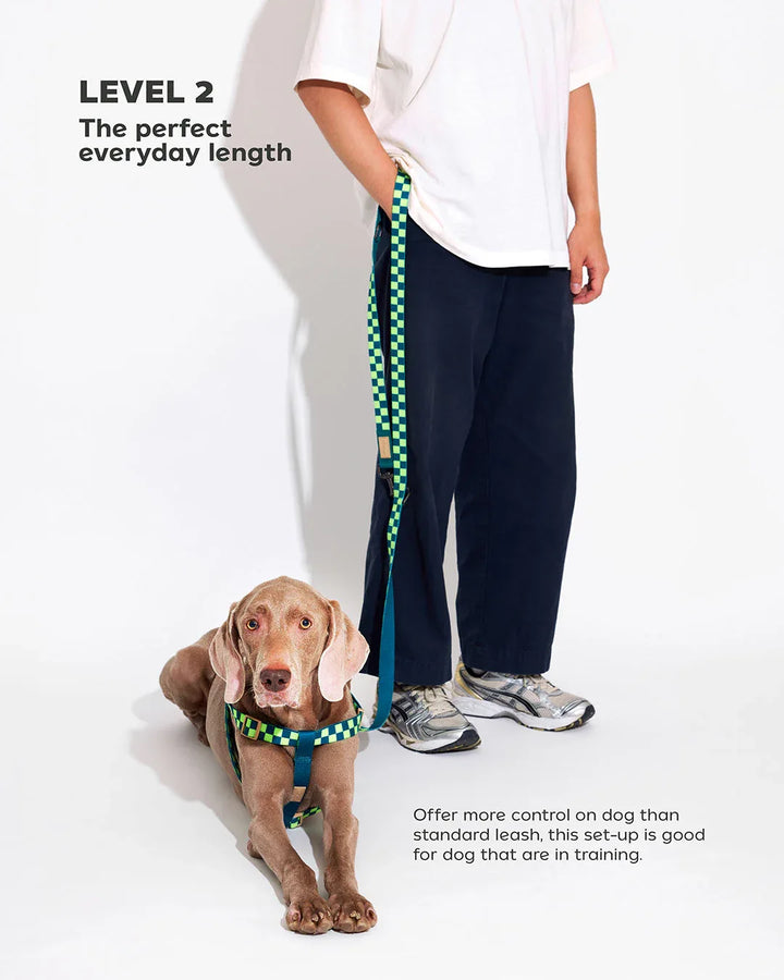 Prynwan Prynometry Adjustable Leash Checkered Green