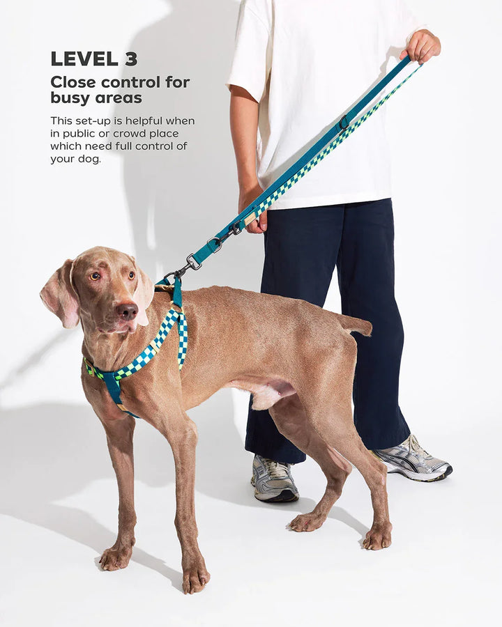 Prynwan Prynometry Adjustable Leash Checkered Green