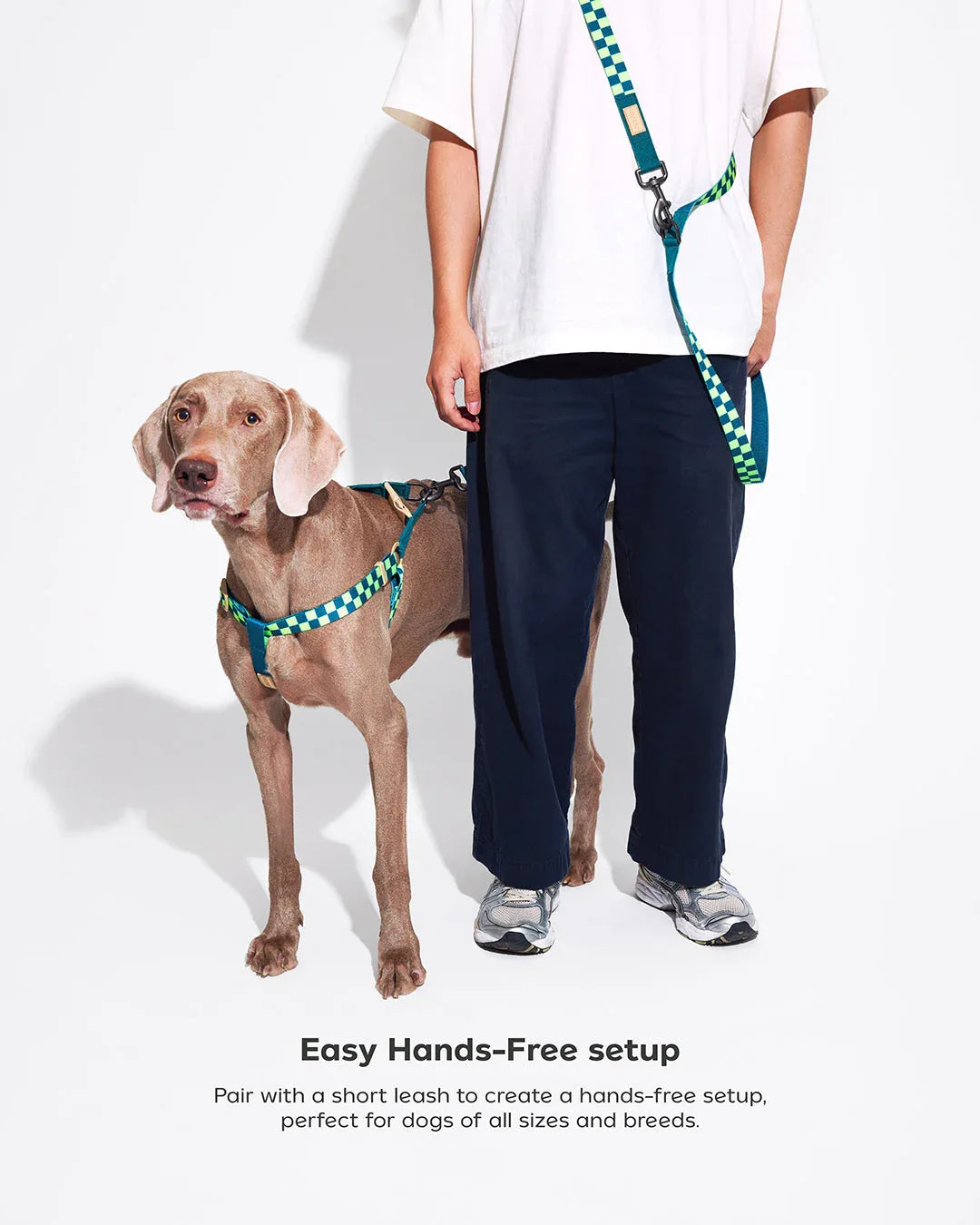 Prynwan Prynometry Adjustable Leash Checkered Green