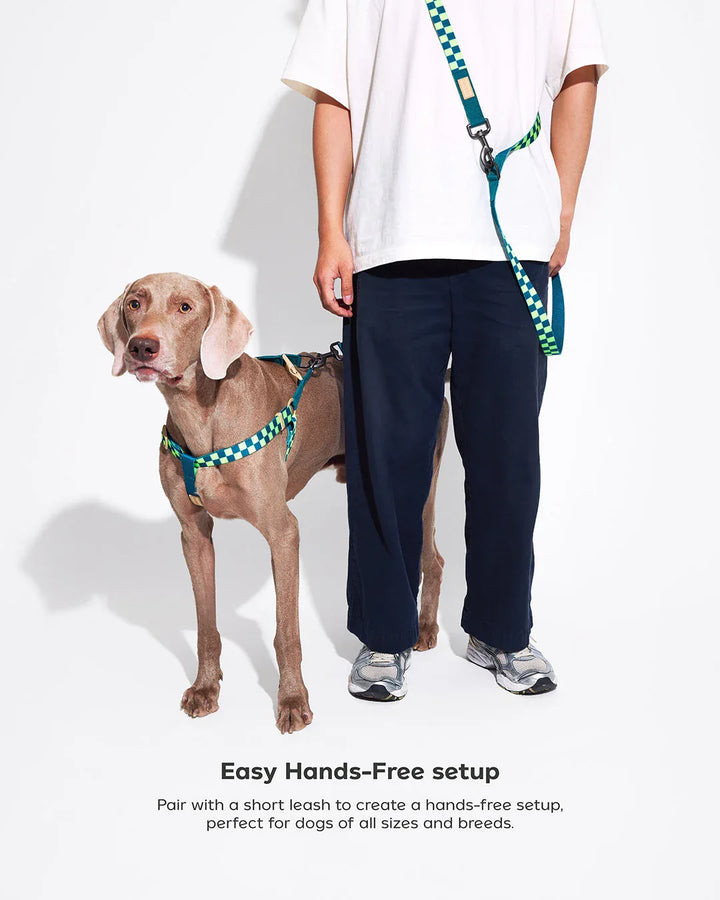 Prynwan Prynometry Adjustable Leash Checkered Green