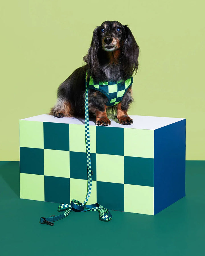 Prynwan Prynometry Adjustable Leash Checkered Green