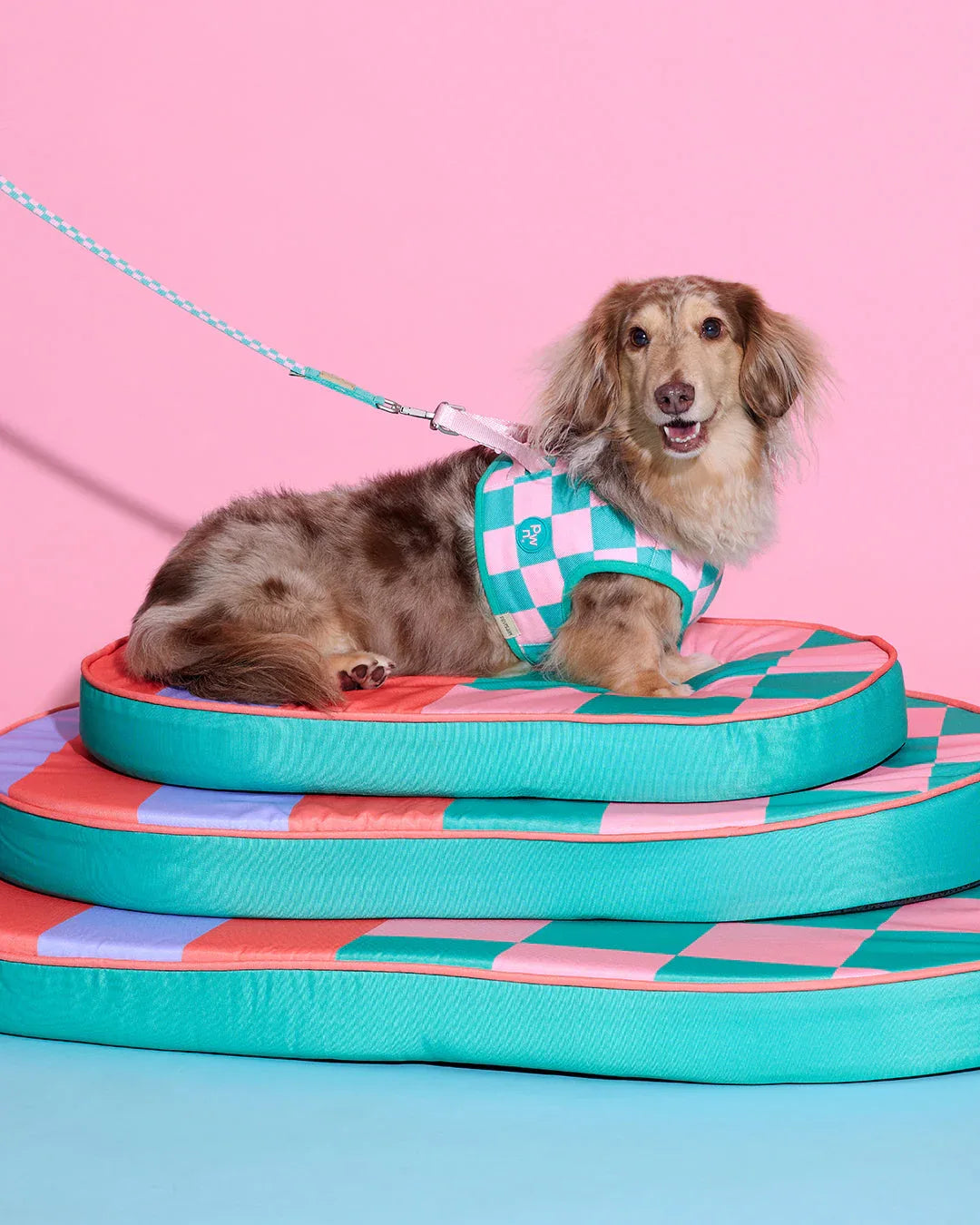 Prynwan Prynometry Adjustable Leash Green Pink