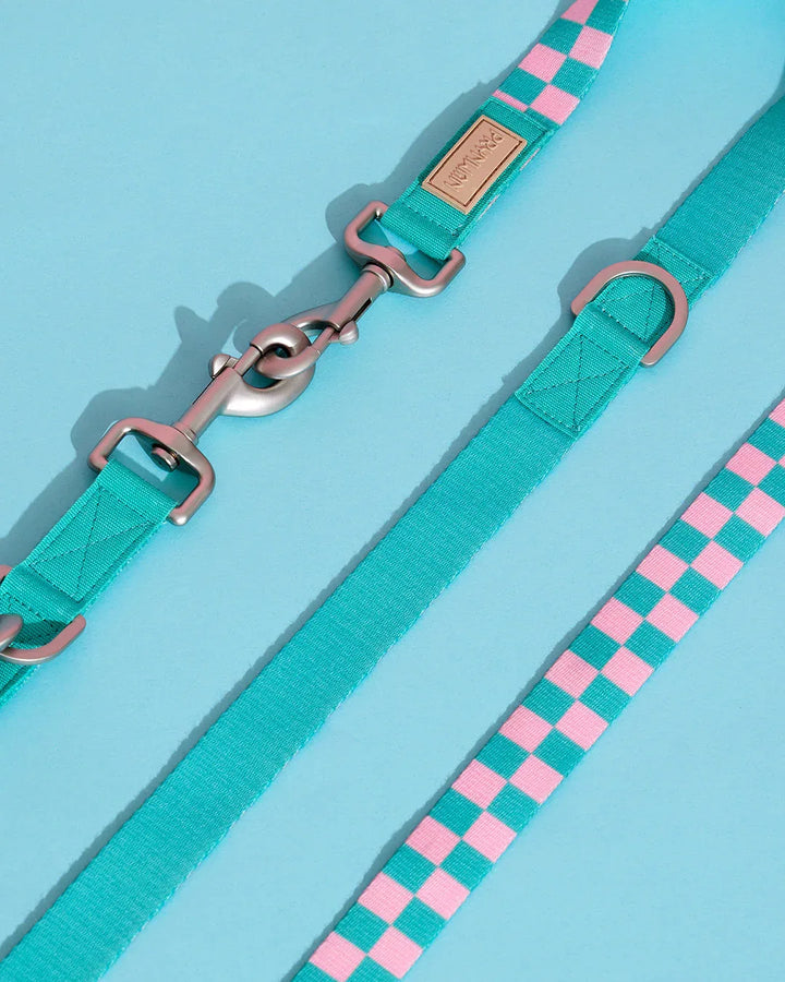 Prynwan Prynometry Adjustable Leash Green Pink
