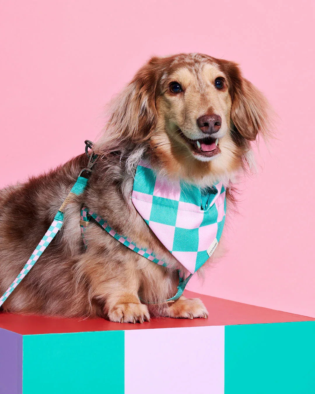 Prynwan Prynometry Adjustable Leash Green Pink