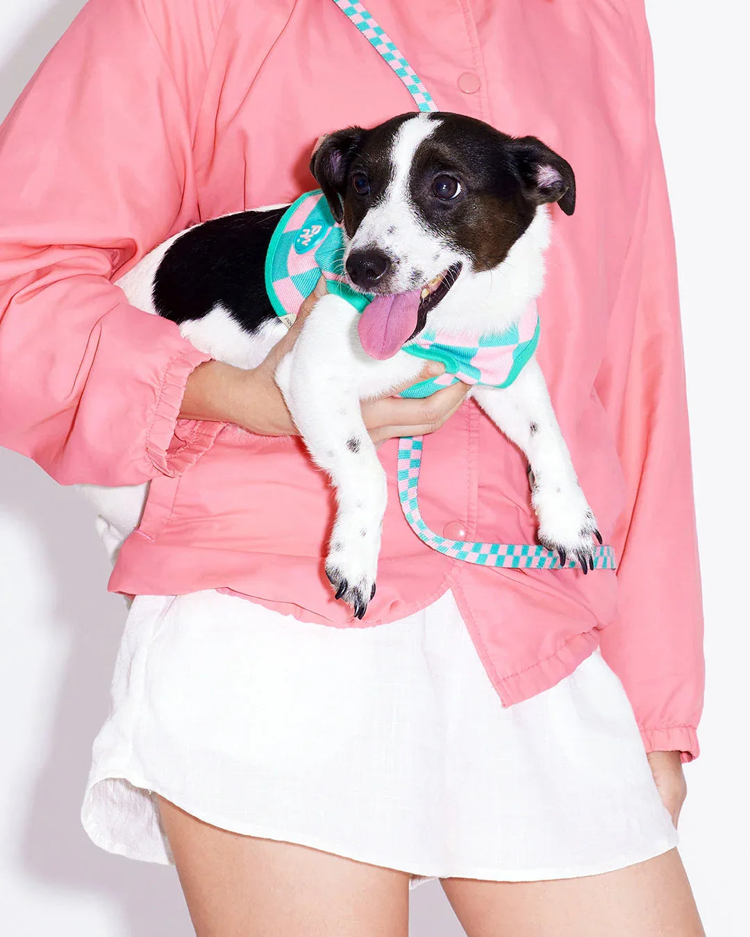 Prynwan Prynometry Adjustable Leash Green Pink
