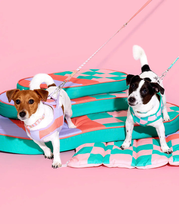 Prynwan Prynometry Adjustable Leash Green Pink