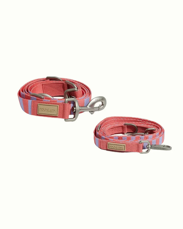Prynwan Prynometry Adjustable Leash Purple Pink