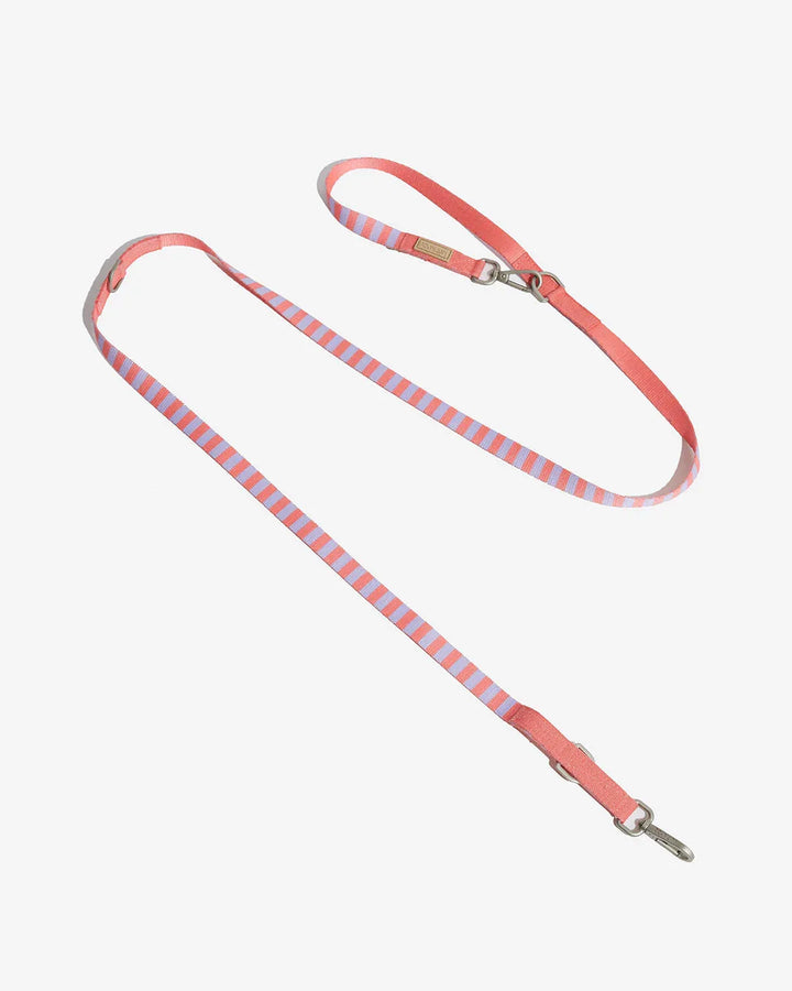 Prynwan Prynometry Adjustable Leash Purple Pink