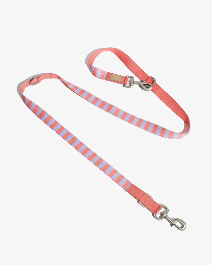 Prynwan Prynometry Adjustable Leash Purple Pink