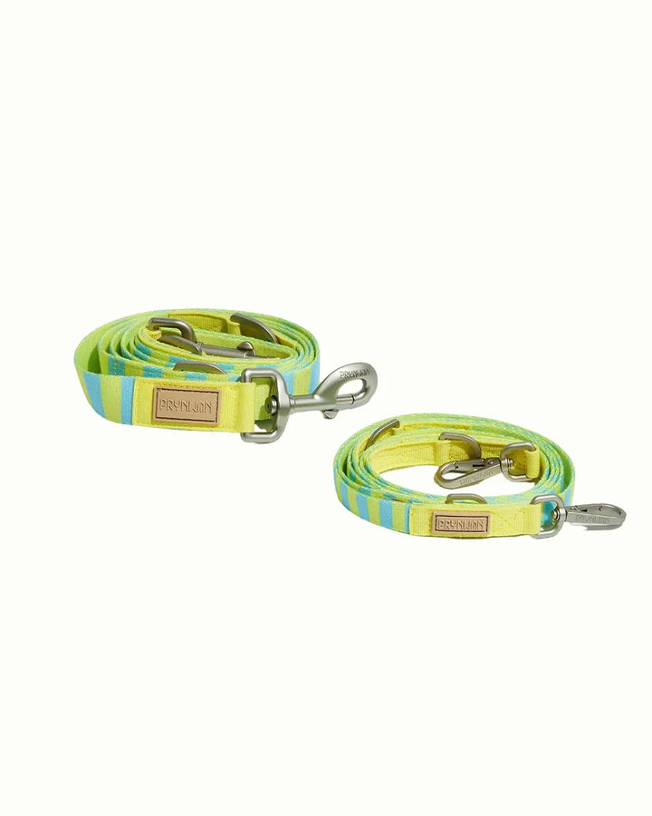 Prynwan Prynometry Adjustable Leash Yellow Baby Blue