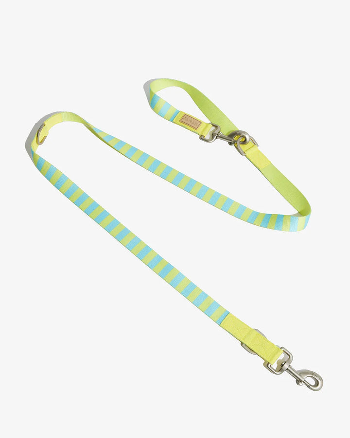 Prynwan Prynometry Adjustable Leash Yellow Baby Blue