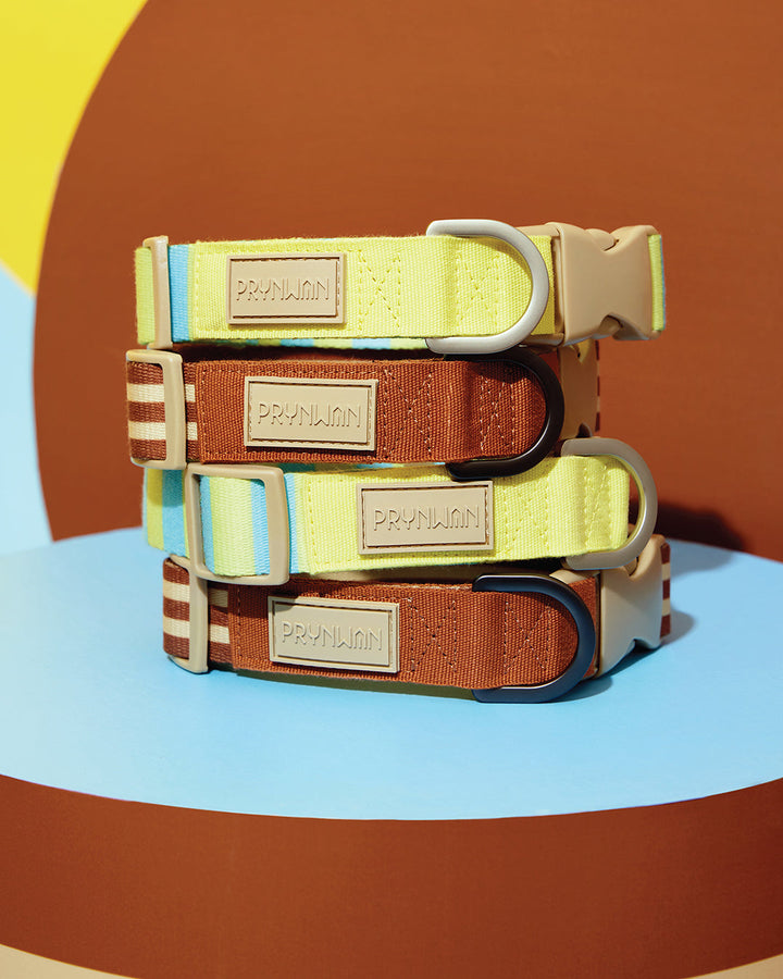 Prynwan Prynometry Quick Release Collar Brown Beige