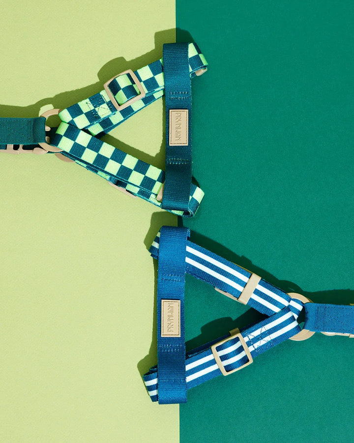 Prynwan Prynometry Step-In Harness Blue