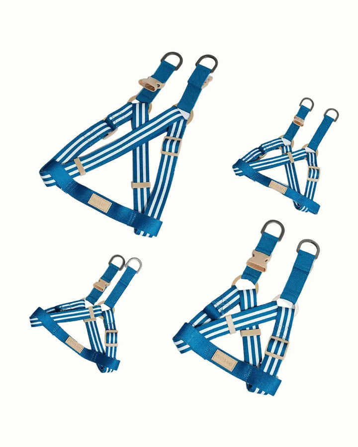 Prynwan Prynometry Step-In Harness Blue
