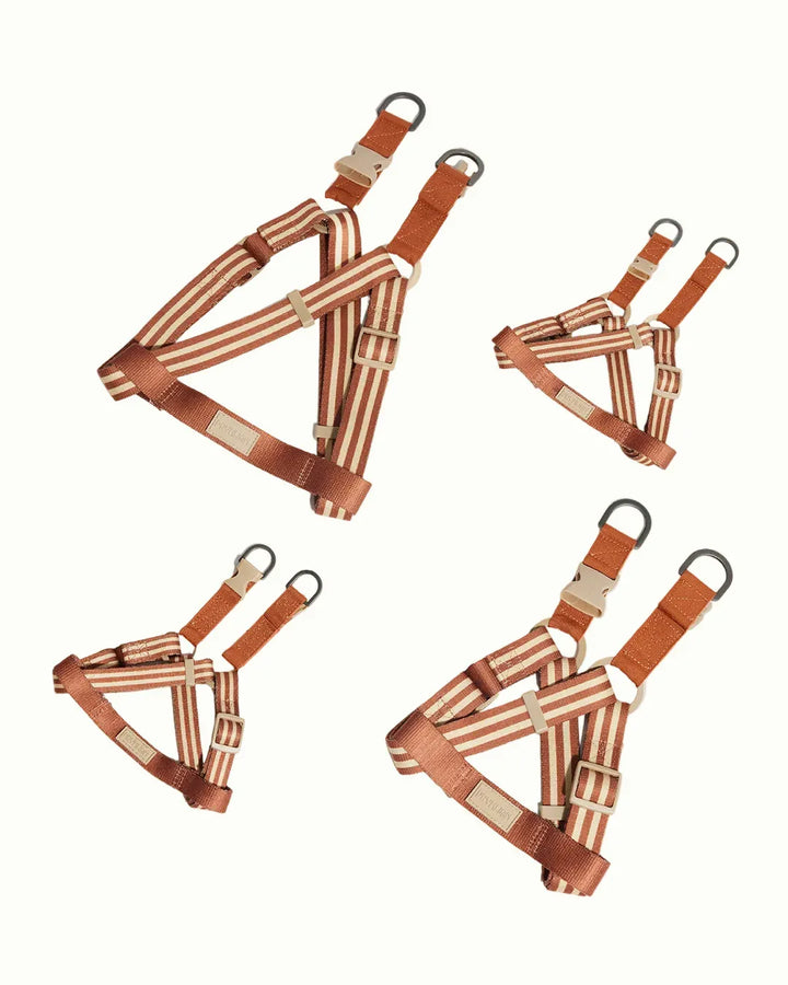 Prynwan Prynometry Step-In Harness Brown Beige