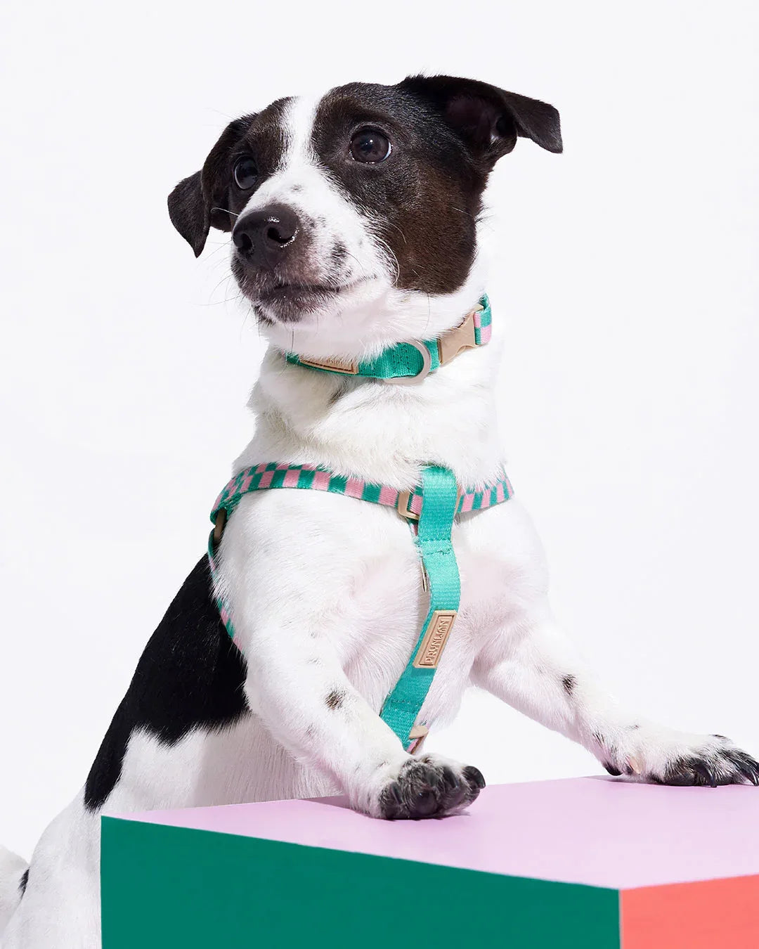 Prynwan Prynometry Step-In Harness Green Pink