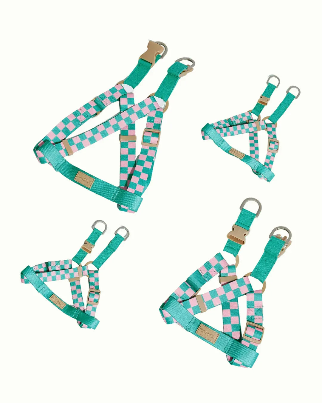 Prynwan Prynometry Step-In Harness Green Pink